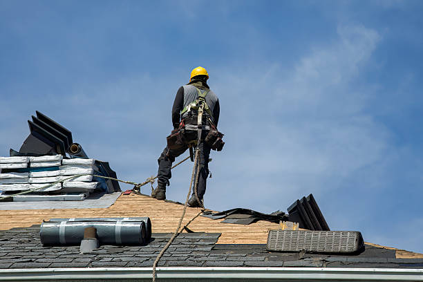 Professional Storm Damage Roof Repair technician working in Plantation, FL